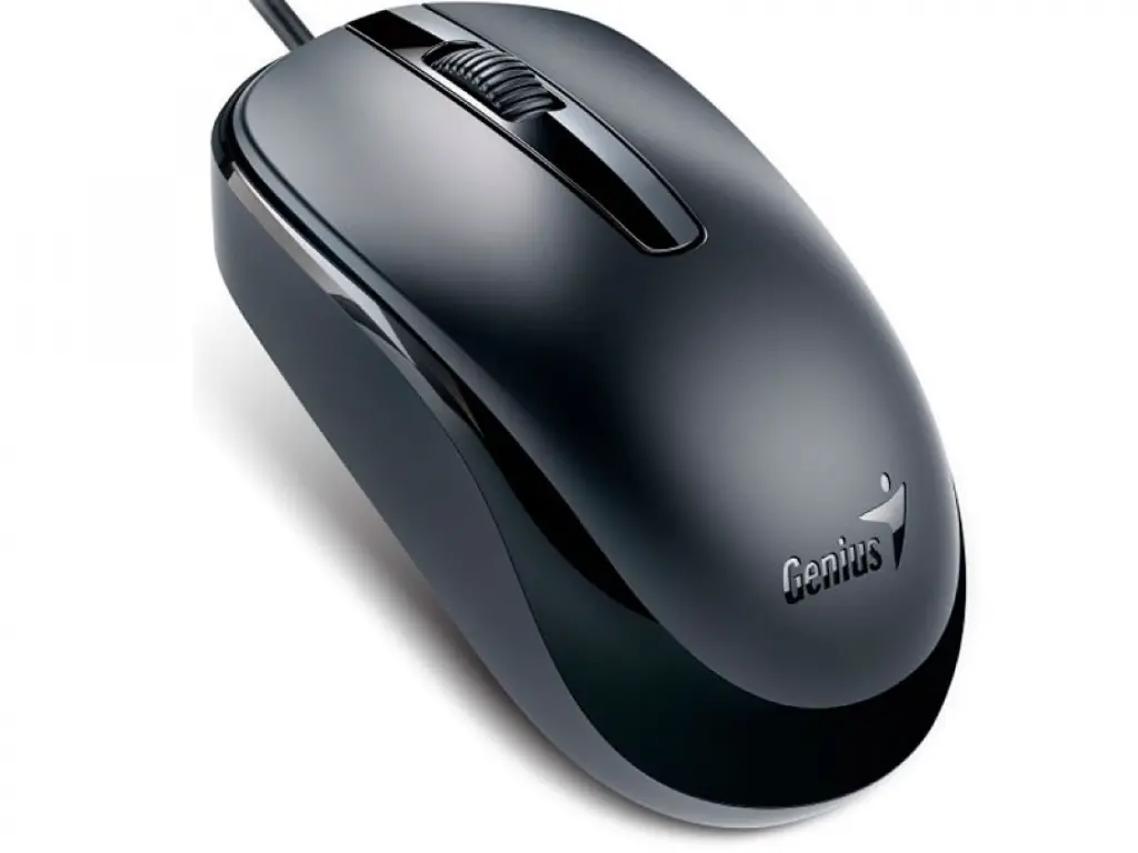 nb_MOUSE-GENIUS-DX-120-G5-BLACK-USB_ver_892a4e5abcaf6c68936999e5ac20e7d1.webp